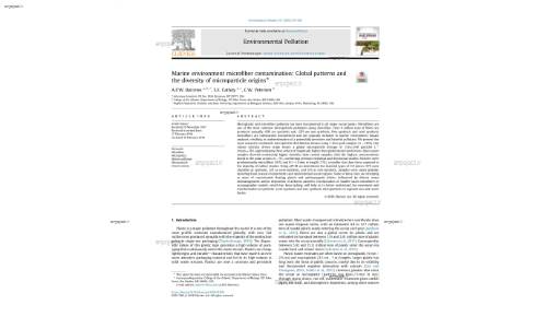 Marine environment microfiber contamination: Global patterns and the diversity of microparticle origins*